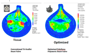 The conventional tissue trileaflet heart valve currently in clinical use (left) depicts much higher stresses (red color) compared to the new PolyNova trileaflet polymeric valve (right) that has been engineered to dramatically reduce valve stress. This translates into reduced wear, increased durability, reduced platelet activation and reduced stroke risk. The new valve is made of an elastomeric polymer material so it can be collapsed and deployed in a smaller hole than what presently is required for TAVR.
